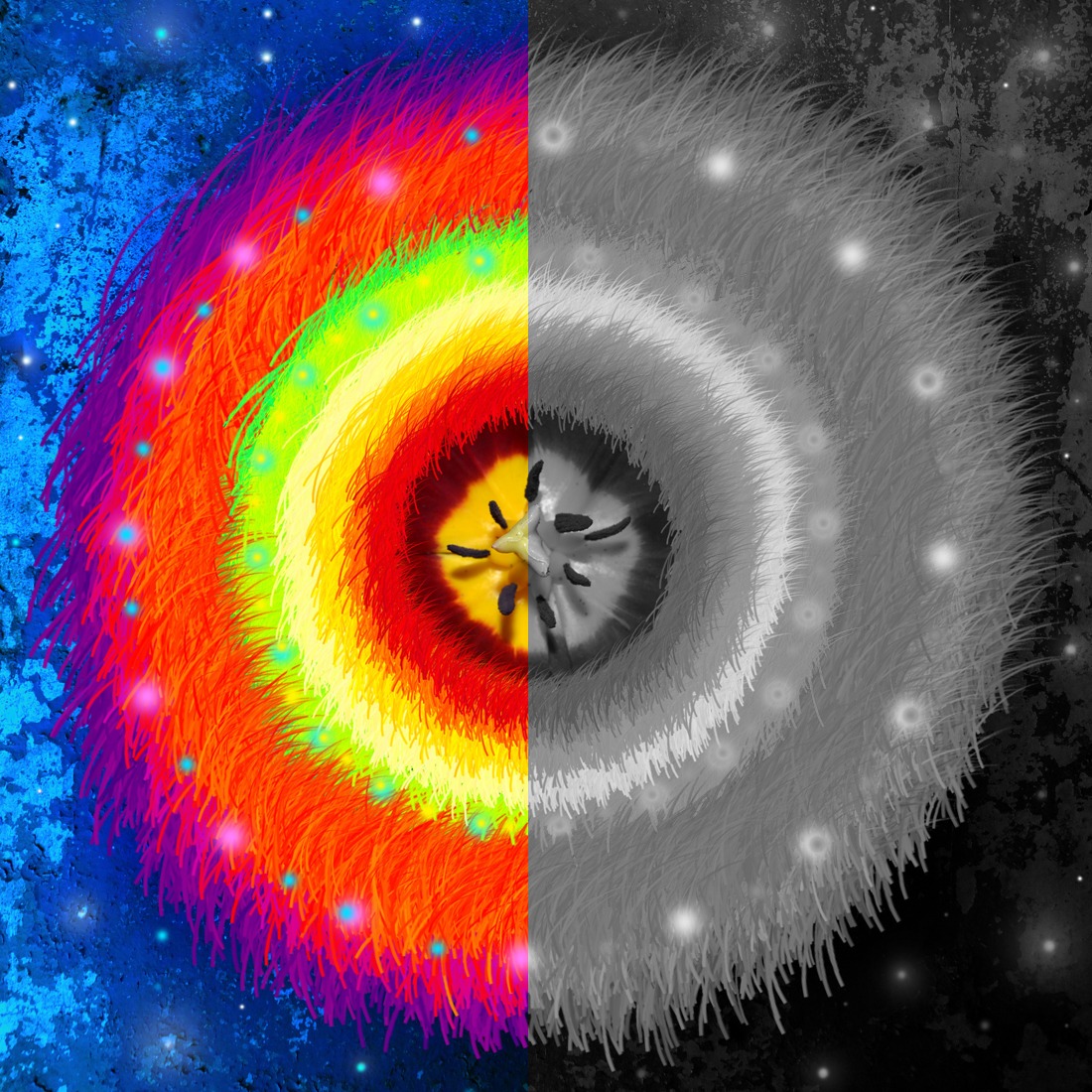 Icon Karma Tranformation